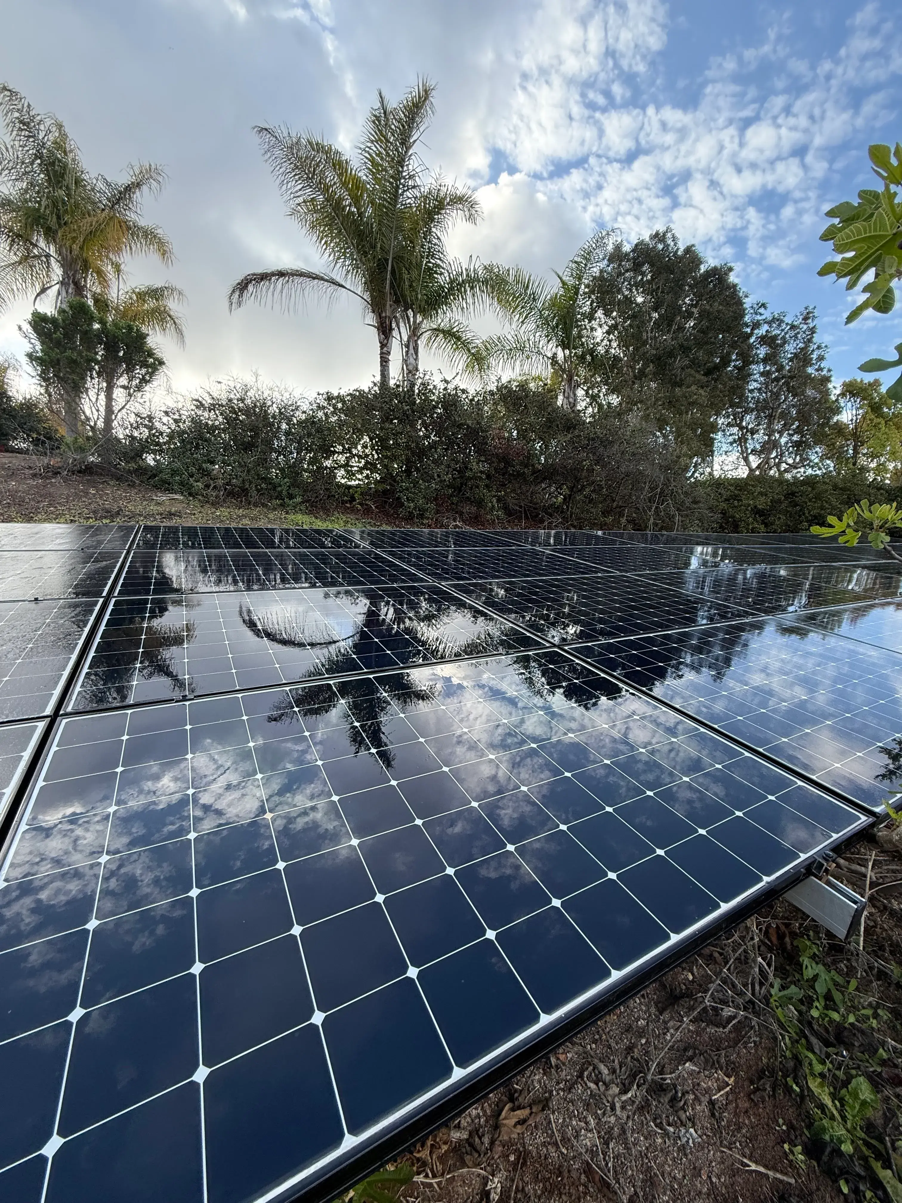 CaLi Cleanerz solar panel cleaning